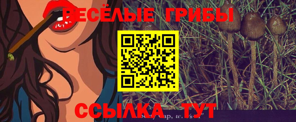 Псилоцибиновые грибы мицелий Камышин