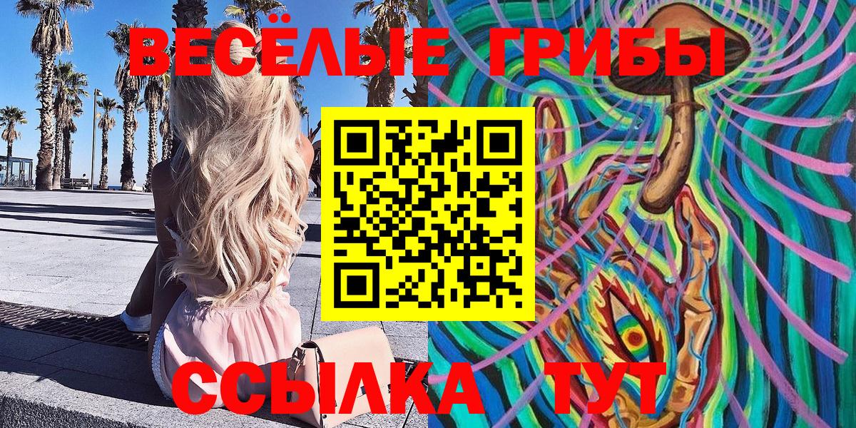 Псилоцибиновые грибы прущие грибы  Вход с VPN  Камышин  Галлюциногенные грибы GOLDEN TEACHER 